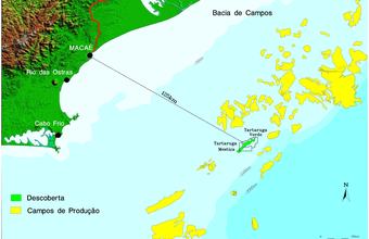 Petrobras and PPSA sign a Production Individualization Agreement for shared Tartaruga Mestiça field