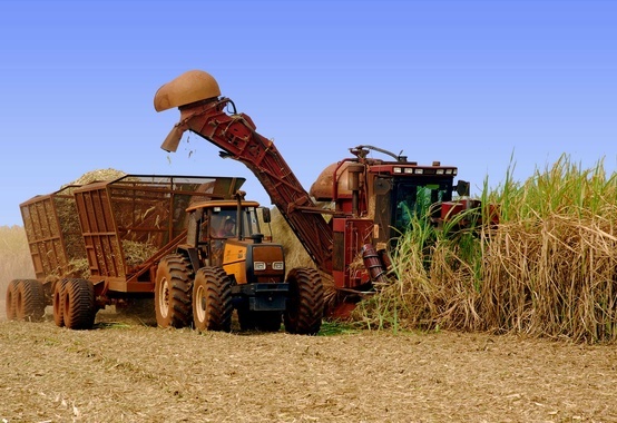 In the first half of March sugar cane grinding reaches almost 3 million tons In the first half of March sugar cane grinding reaches almost 3 million tons