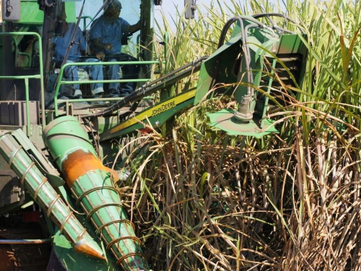 Anhydrous production advances at an accelerated pace even with a drop in the quality of the raw material