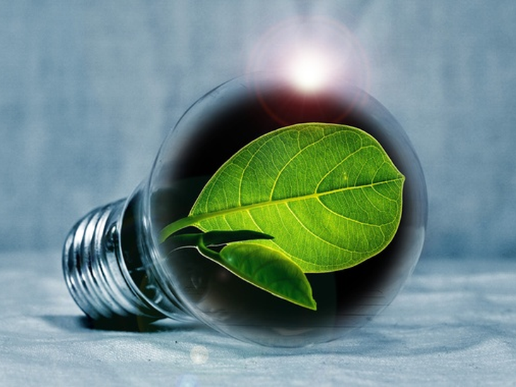 UN: Brazil is chosen as leader in debate on energy transition