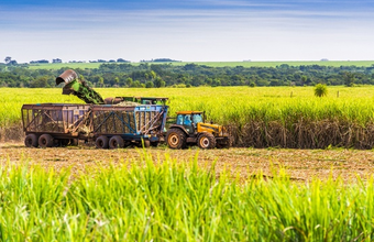 Research shows sustainability of sugarcane cultivation for bioenergy