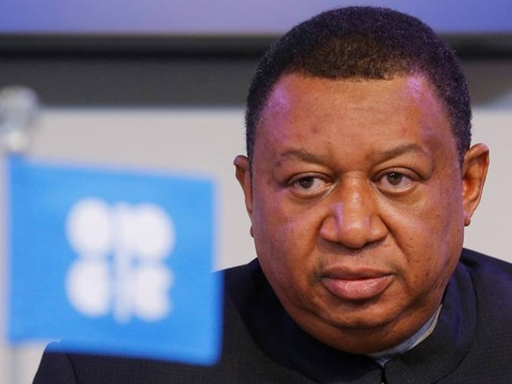 Bento Albuquerque, from MME participates in videoconference with OPEC secretary general, Mohammad Barkindo