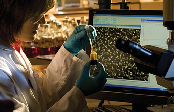 Brazilian research will receive R$ 30 billion over the next 10 years