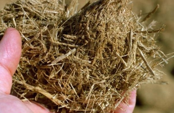 Potential for biogas generation reaches 40% of Itaipu plant