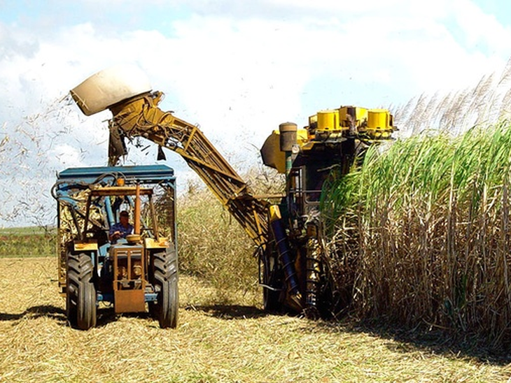 Government will launch program to double biofuel production