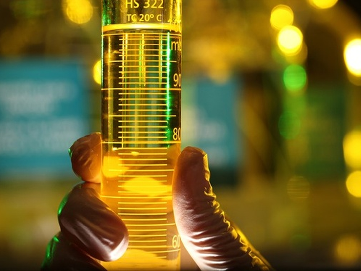 Government defines drop in biodiesel mix