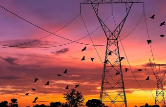 Electricity consumption in Brazil continues to rise.