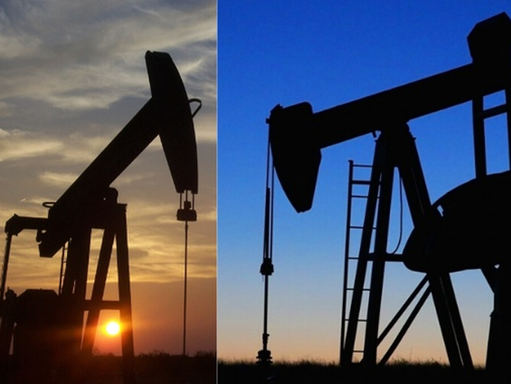 Petrobras starts non-binding phase of Bahia Terra Cluster