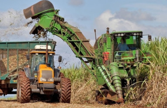 Sugarcane's share of energy generation grows 5.5%