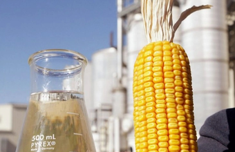 Record production of corn ethanol is presented to the Ministry of Agriculture and Livestock