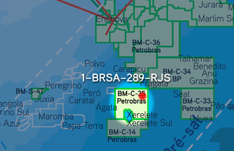 New Campos Basin Discovery