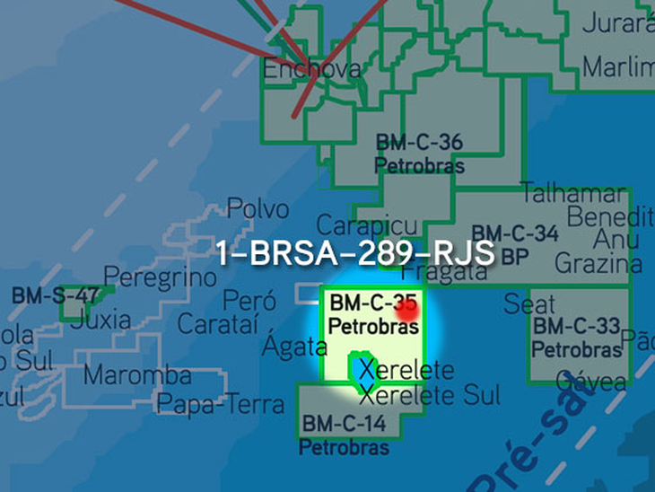 New Campos Basin Discovery