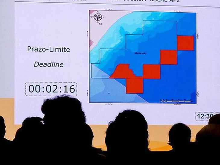 The ANP (National Agency of Petroleum, Natural Gas, and Biofuels) publishes a dynamic panel with information about available blocks and areas.