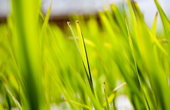 Ethanol/Cepea: sales of hydrated ethanol are the highest of the 2023/24 crop