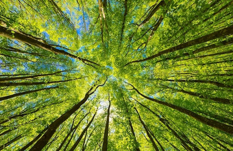 ABB among TIME’s World’s Most Sustainable Companies