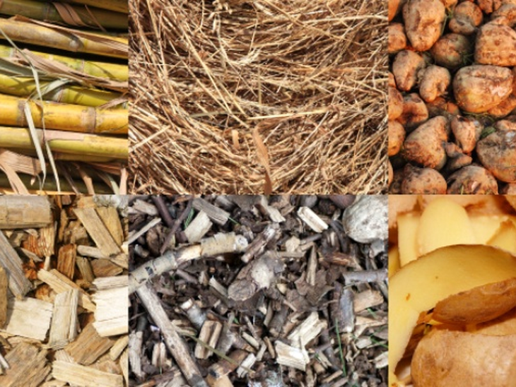 Potential for growth of up to 60% in the coming years, biomass drives energy cogeneration